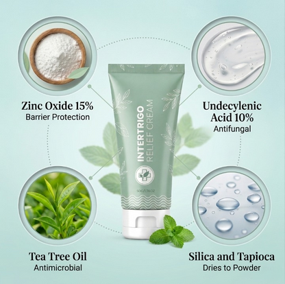 Ingredients infographic